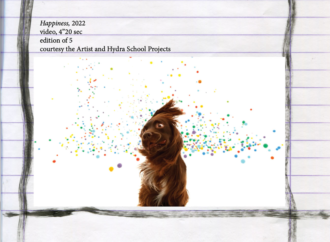 harry patramnis, award winning video artist