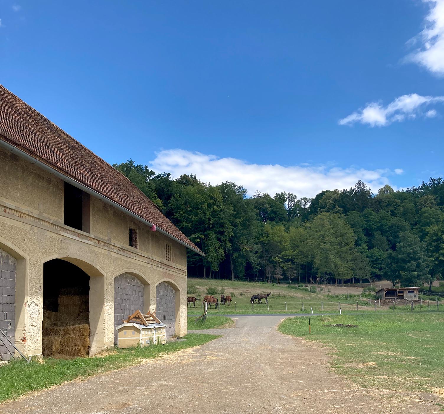 riegersburg area, on view, currently, barn, exhibition contemporary art
