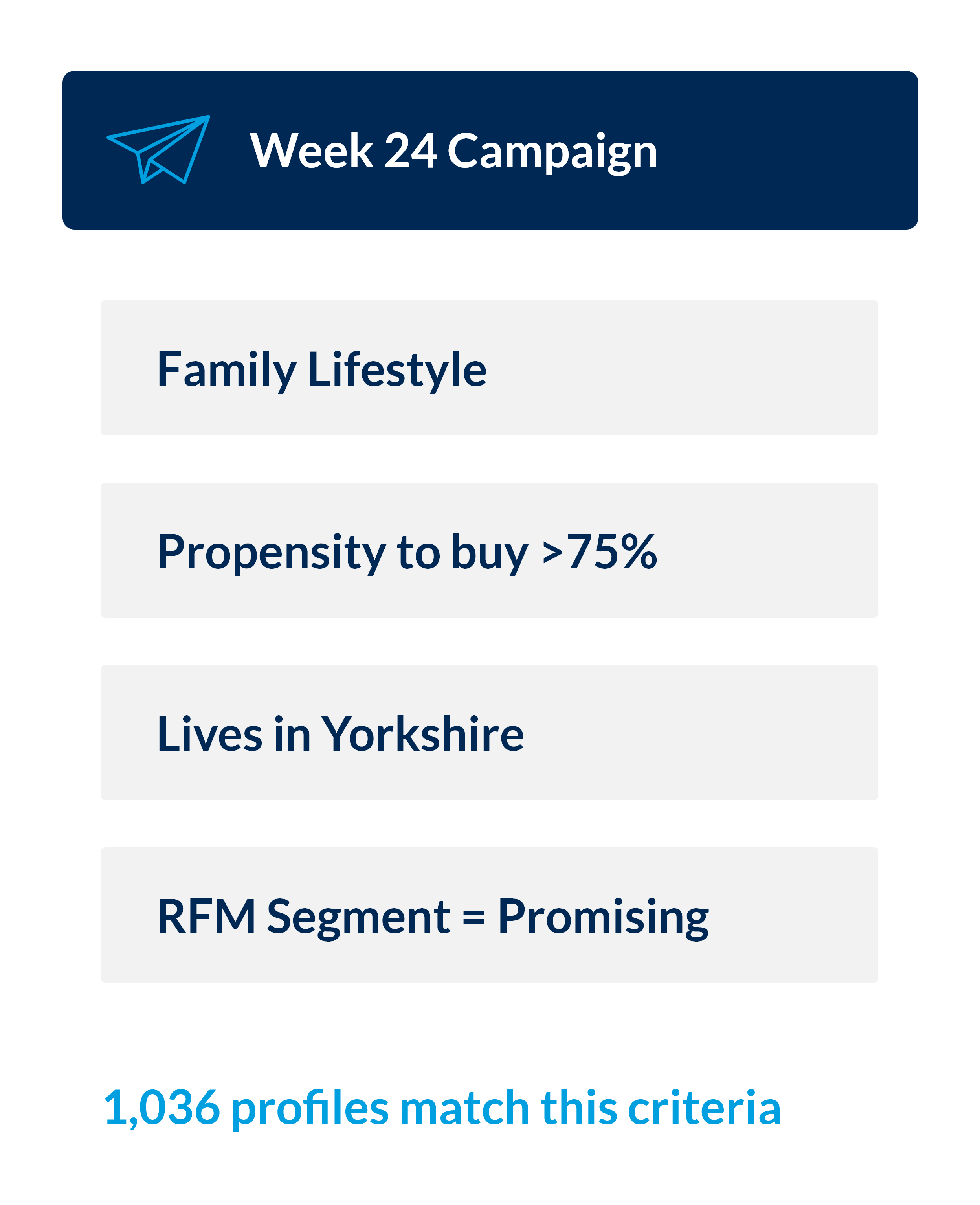 Diagram showing an audience segment made up of the following criteria: family lifestyle, propensity to buy more than 75%, lives in Yorkshire, and in the promising category in RFM. 1,036 profiles match this criteria