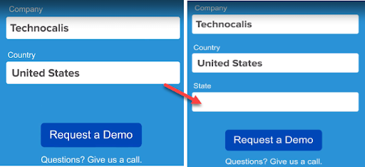 Pardot B2B Lead Generation Formular