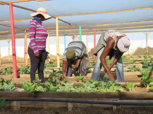 Food Sovereignty Project Gives Hope to Drought Hit Namibia