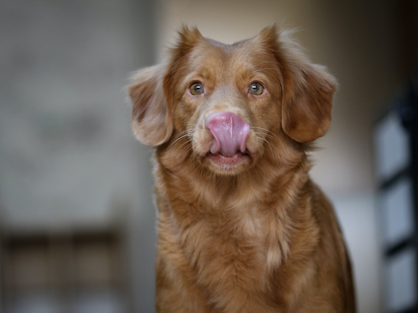 https://images.unsplash.com/photo-1517964764-0d7297e9eaf8?ixid=MnwxMjA3fDB8MHxwaG90by1wYWdlfHx8fGVufDB8fHx8&ixlib=rb-1.2.1&auto=format&fit=crop&w=1334&q=80
