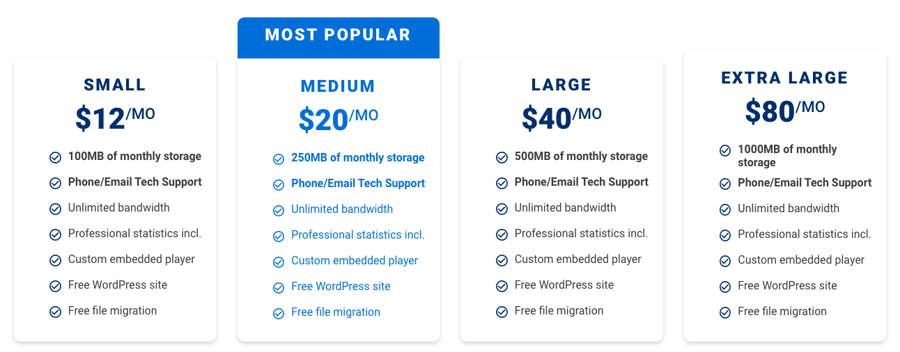 BluBrry pricing overview