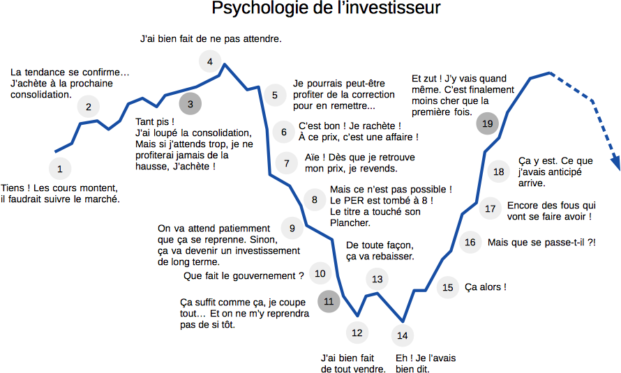 Psychologie de l'investisseur