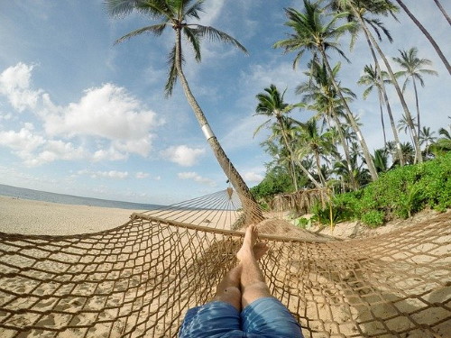 Gestion passive = attendre et profiter