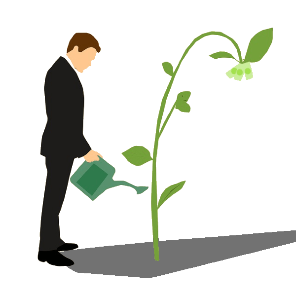 Nourrir la croissance par l'investissement