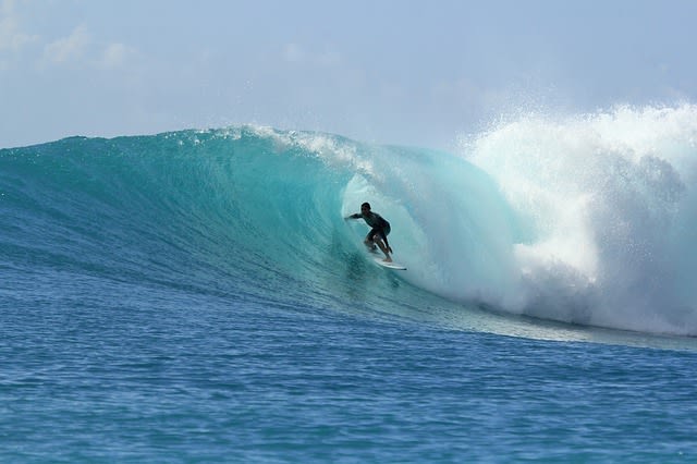Le momentum est comme une vague que l'on surfe