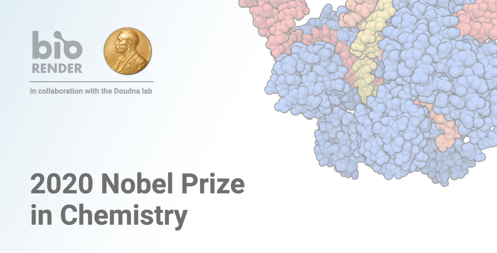 Nobel Prize 2021 in Physiology or Medicineinfographics