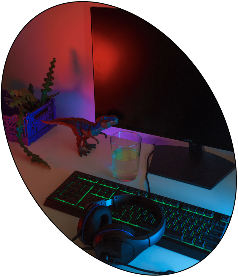 REX Investment in the Creator Economy