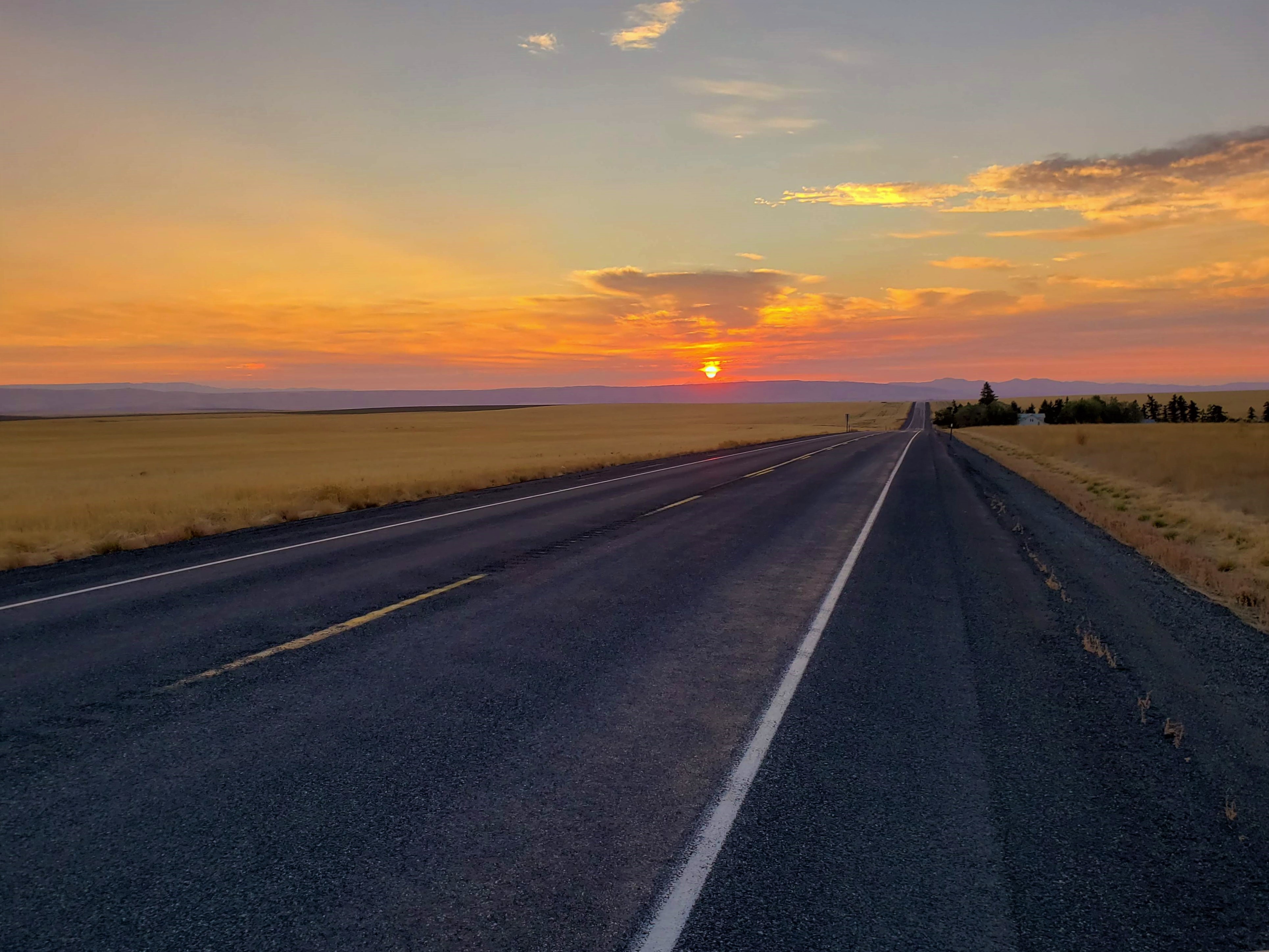 sunset