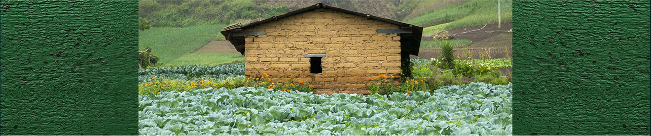 Farm house in Italy.