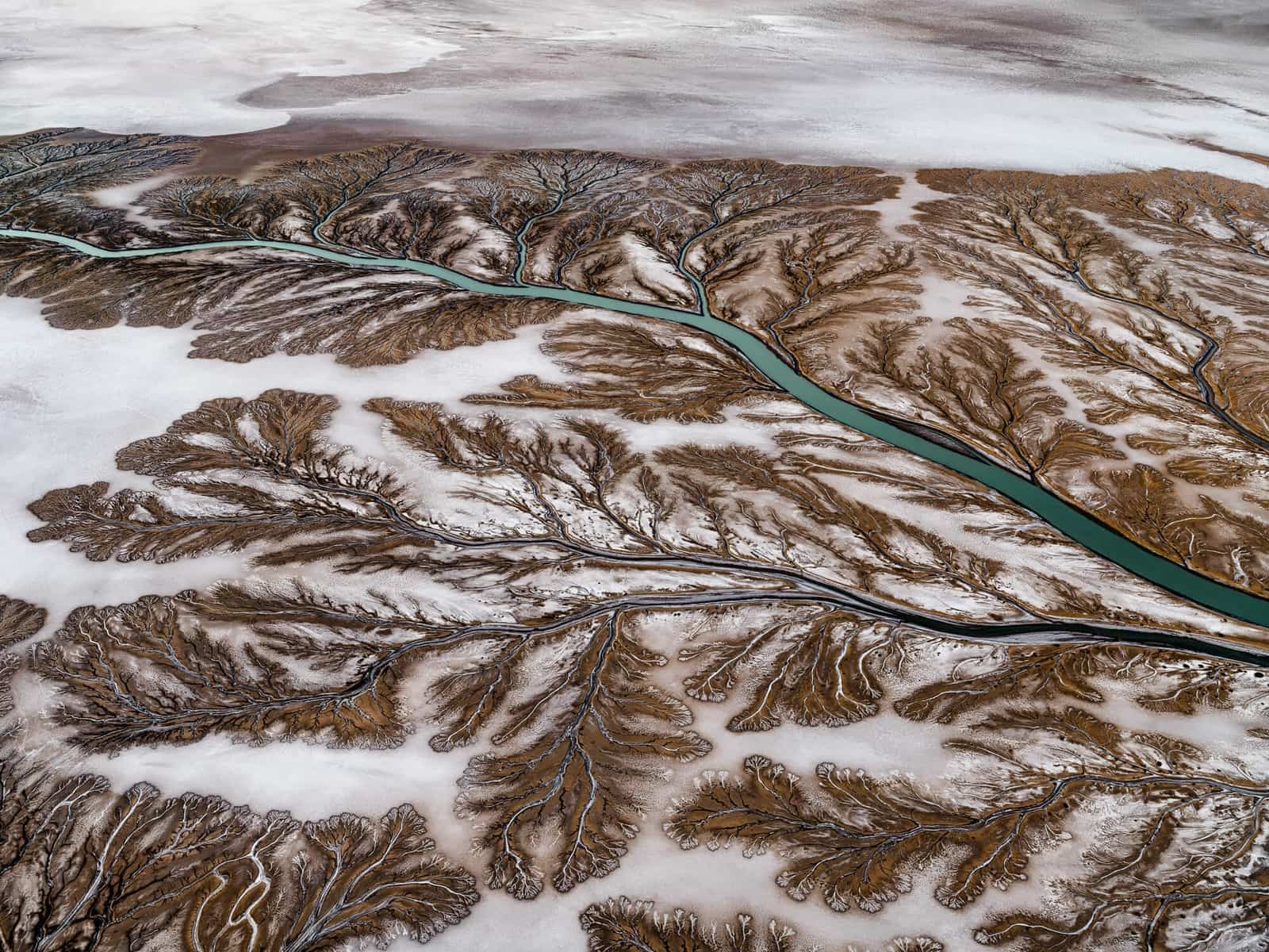The Colorado River Delta Series
