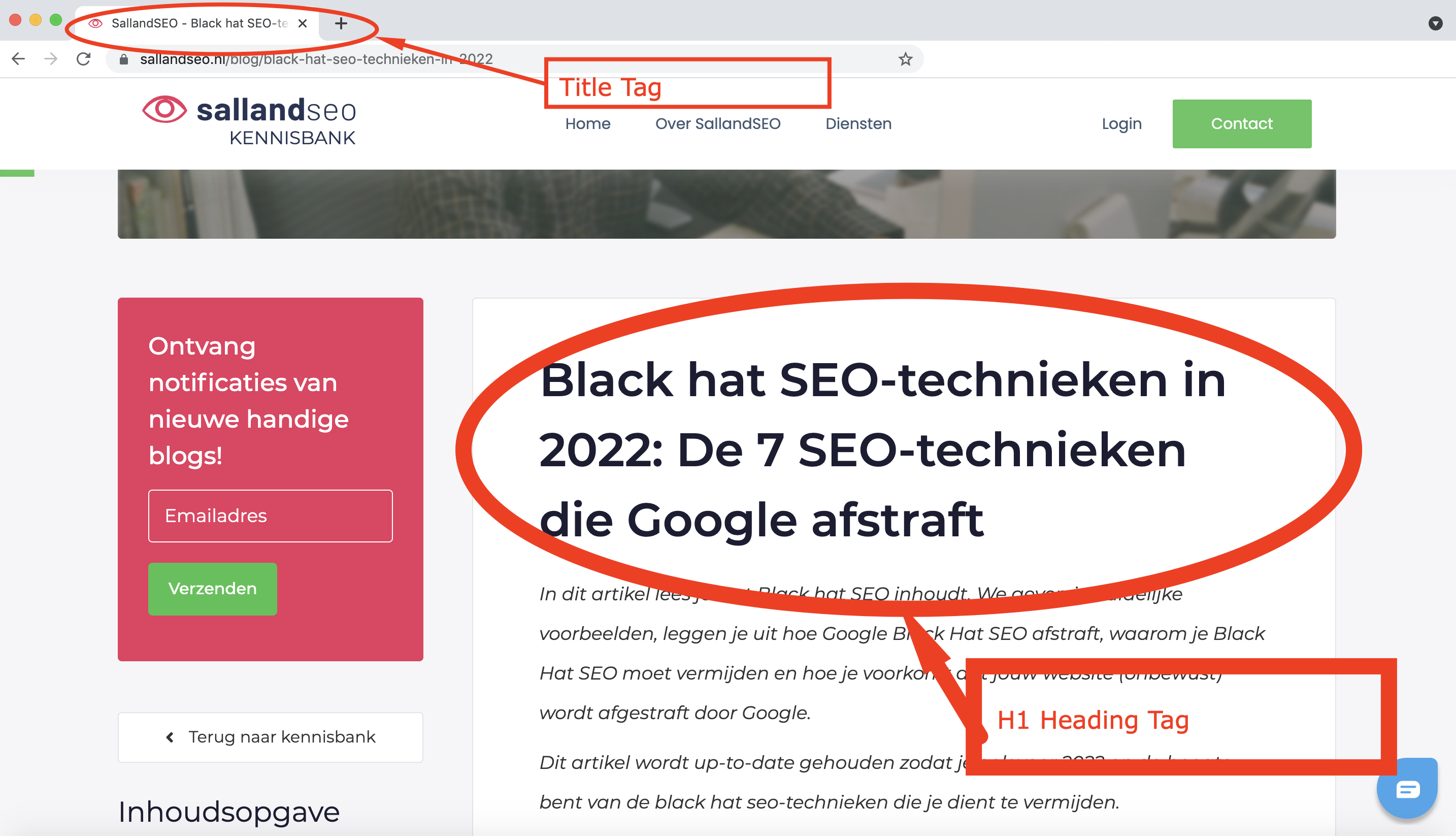 H1 Heading Tag aanduiding SEO