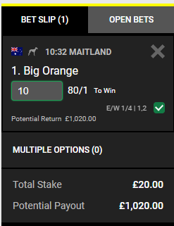 each-way bet