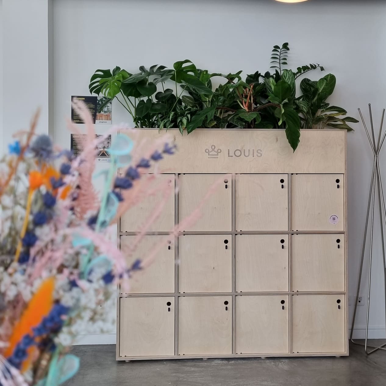 Meuble avec casier de rangement et dessus un bac à plantes avec de nombreuses plantes vertes