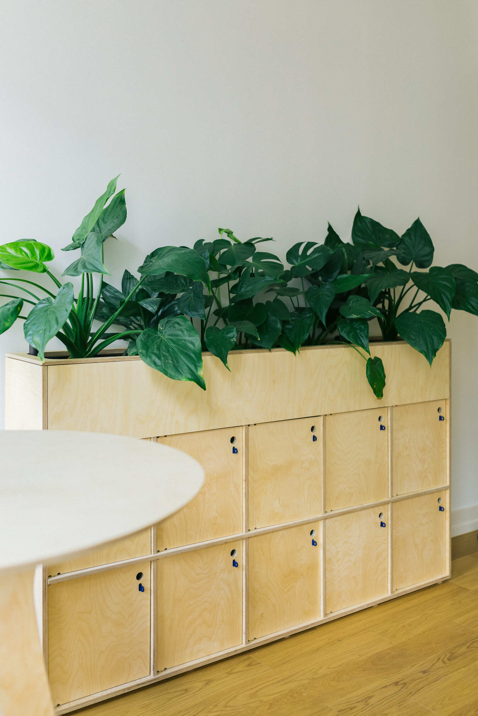 Meuble avec des casiers de rangement professionnel et un bac à plante avec des plantes vertes