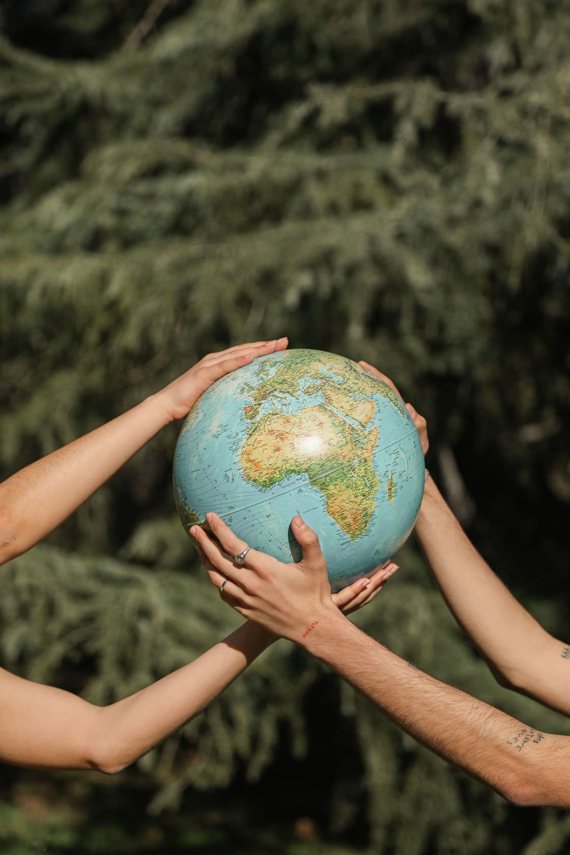 deux mains entourent un globe avec, à l'arrière, de la végétation