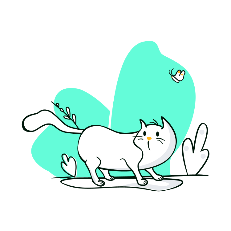 Animal