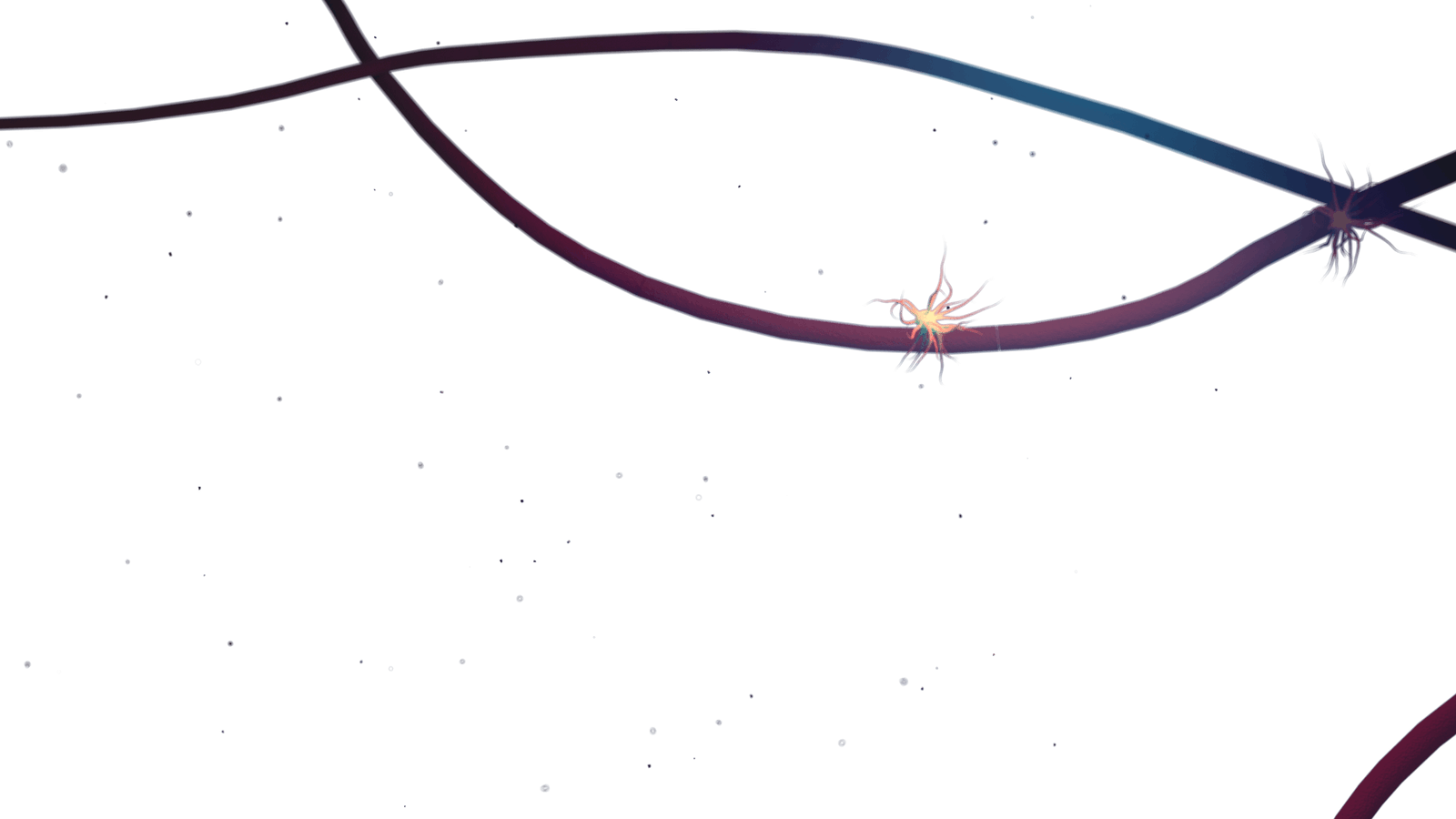 LYSOVETA LPC bound EPA & DHA by Aker BioMarine