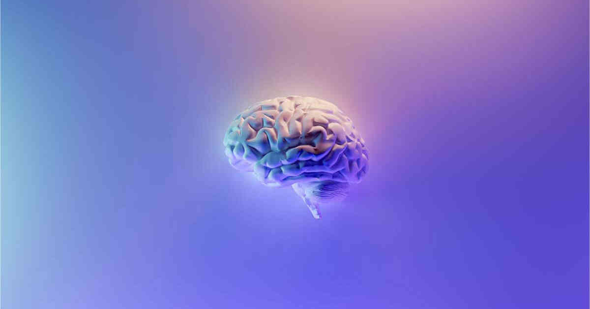 great-brain-debate-do-puzzle-games-exercise-both-sides-of-your-brain
