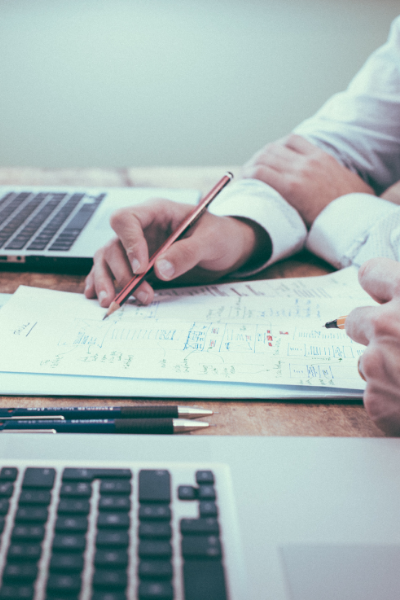 a control advertising seo consultant helping a client