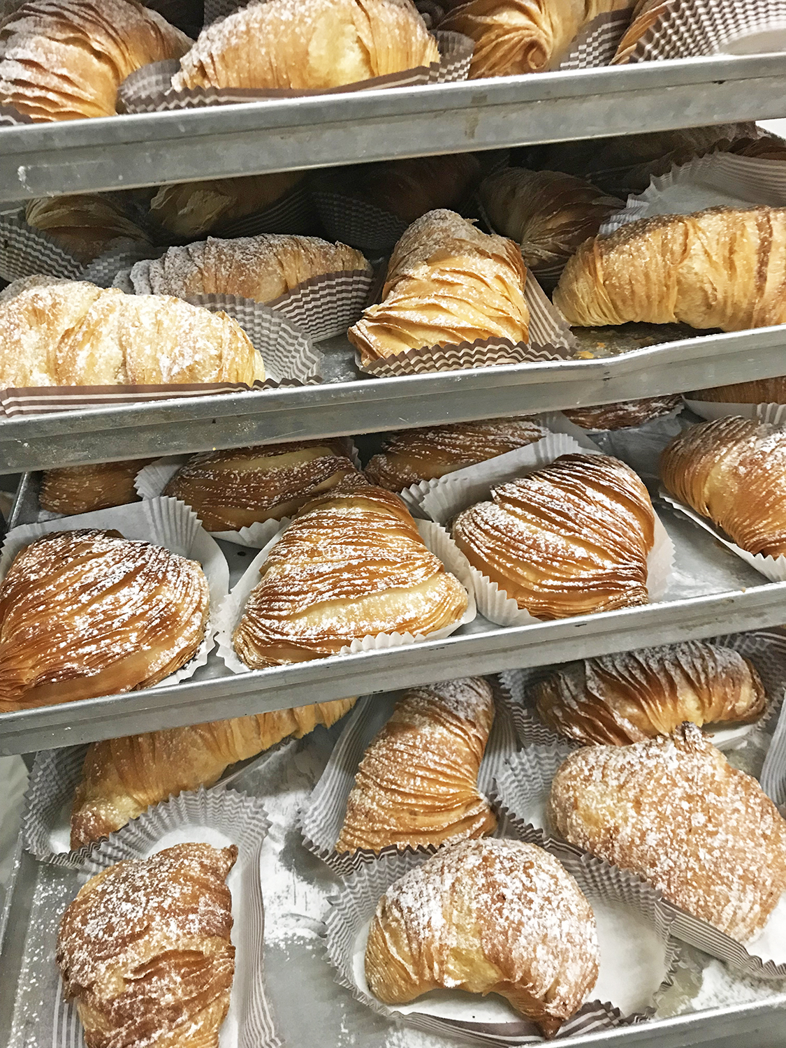 Sfogliatella Napoletana Fenuta Bäckerei Zurich-Dietikon