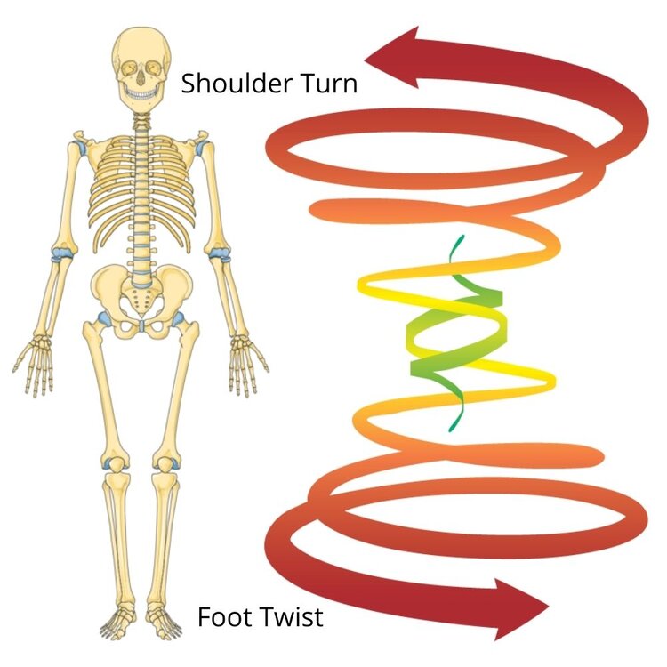 Ballroom Dance Mechanics- Shoulder Turn and Foot Twist