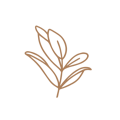 Decorative divider image
