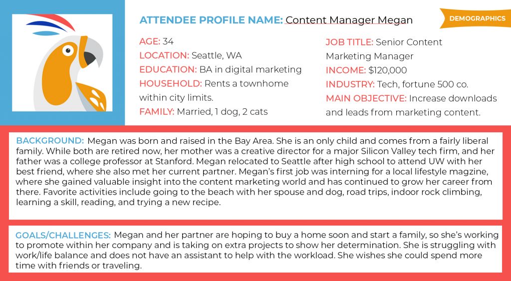 Audience Profile Example Demographics