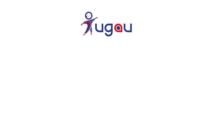 Les fonctionnalités du diagnostic Ugau