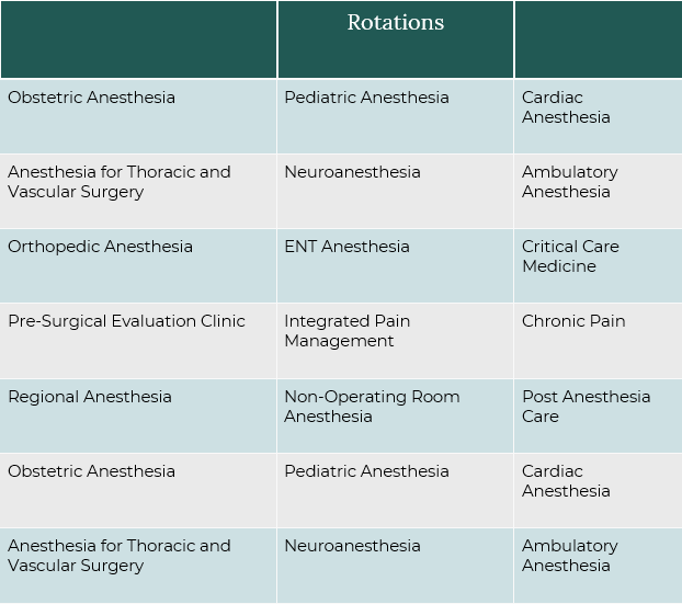 How to an Anesthesiologist｜StepByStep｜Salary｜FAQs