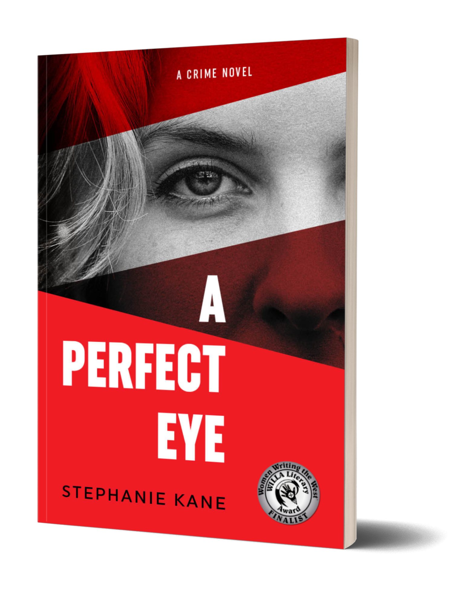 A perfect Eye by Stephanie Kane
