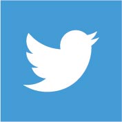 social media twitter icon