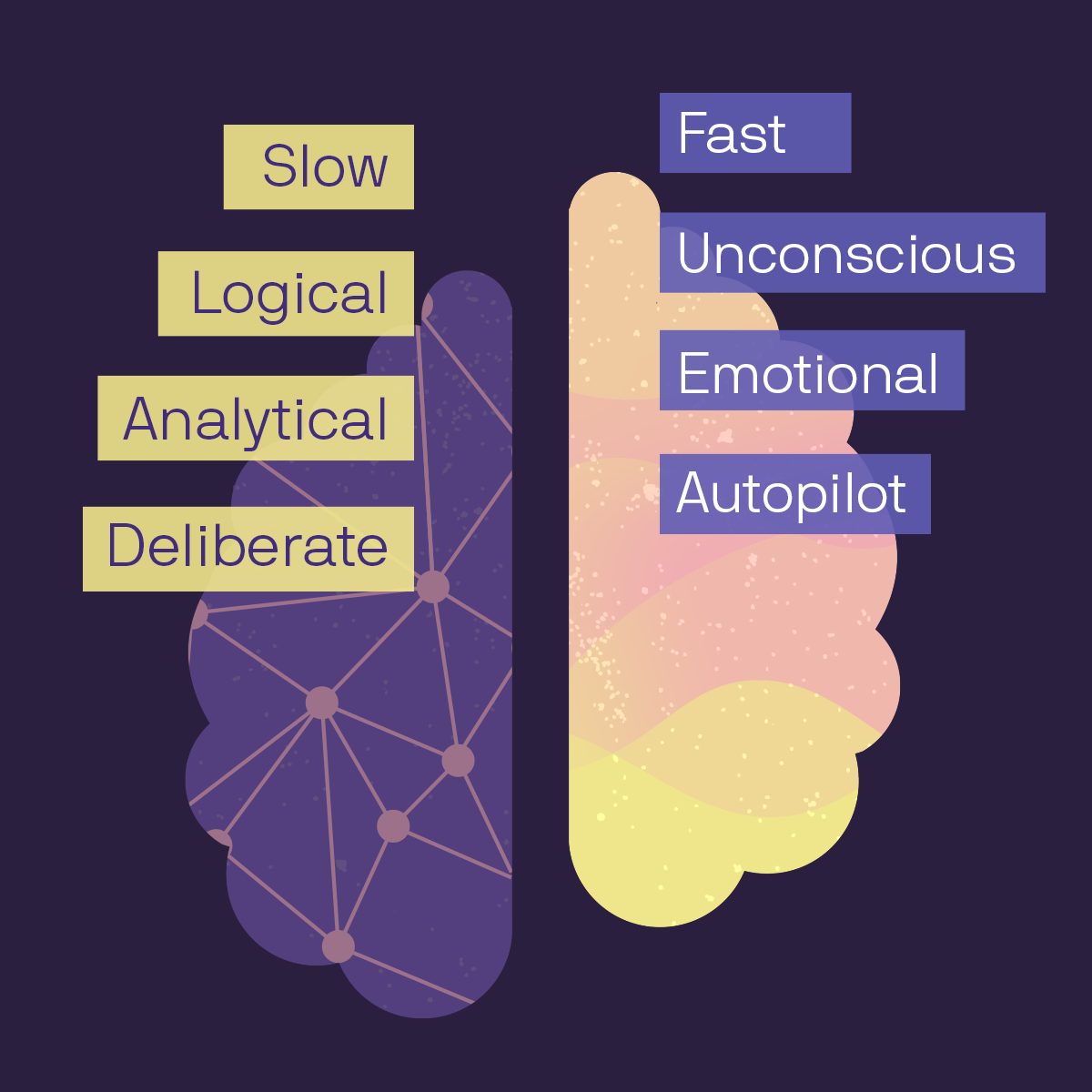 An image showing the emotional and logical halves of the brain