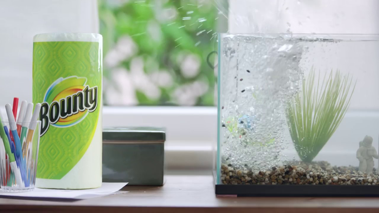 Fish tank splashing on a roll of paper towel