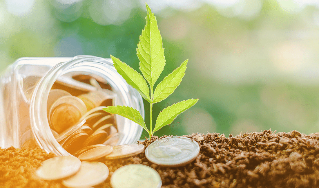 Plant growing from soil with coin in the glass jar in the back.