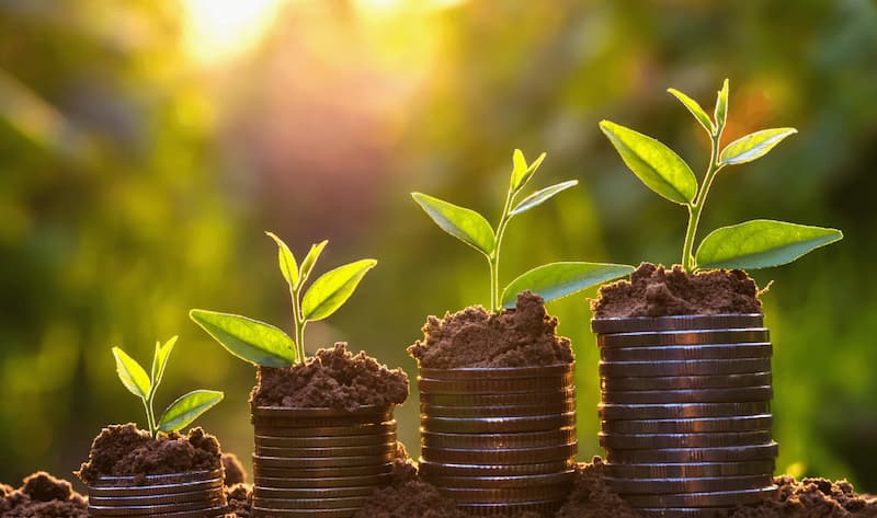 seniors funeral insurance saving money