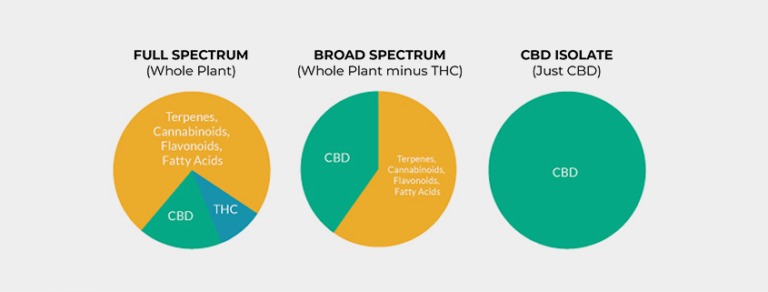 Pie chart diagrams of CBD and THC content