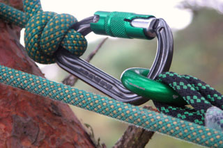 treepartners_LOLER_arborists