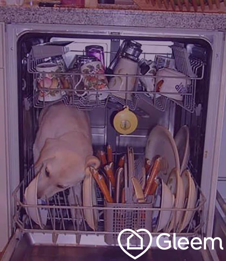 dishwasher copy