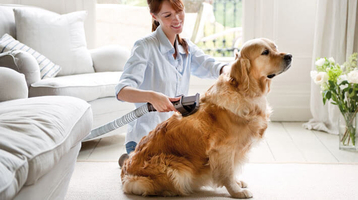 Dyson-Accessory-Groom-Tool-In-Use
