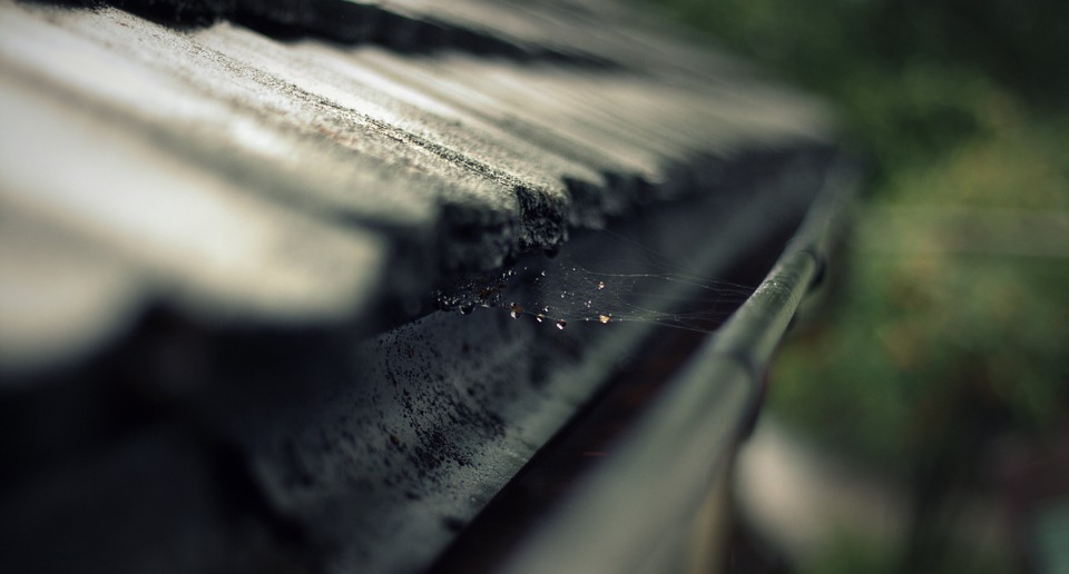 rain-gutter-473845_960_720
