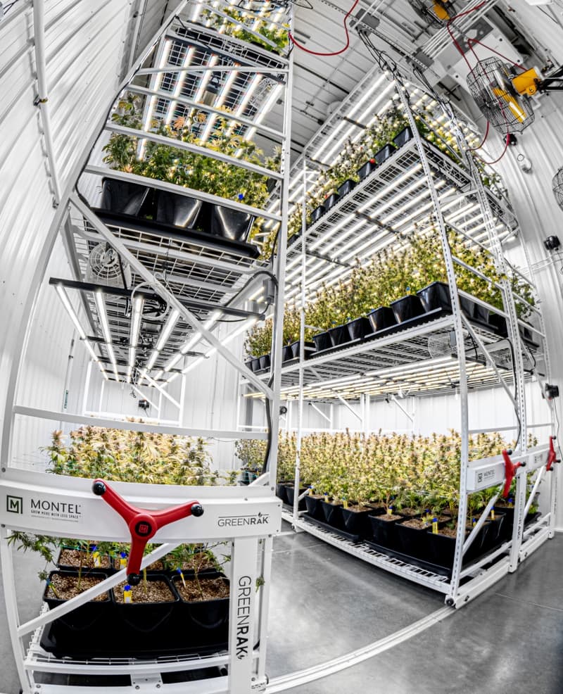 Harbor Farmz Michigans Finest Cannabis