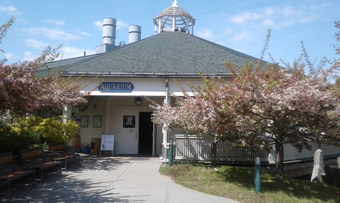 Maine State Aquarium Squire Tarbox Inn