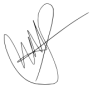 Sarah Ahmed electronic signature