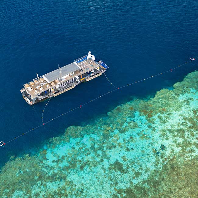 Reefsuites