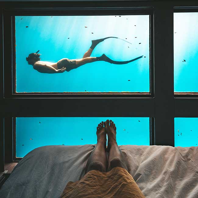 Reefsuites