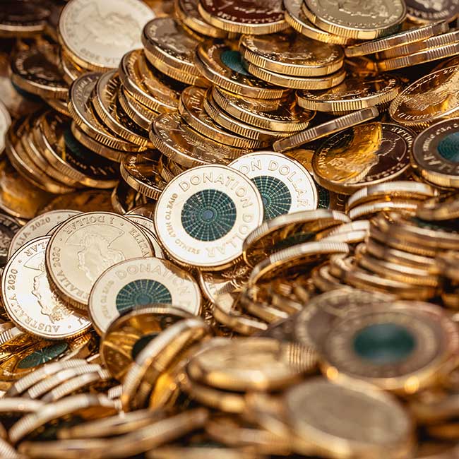 Donation Dollar
