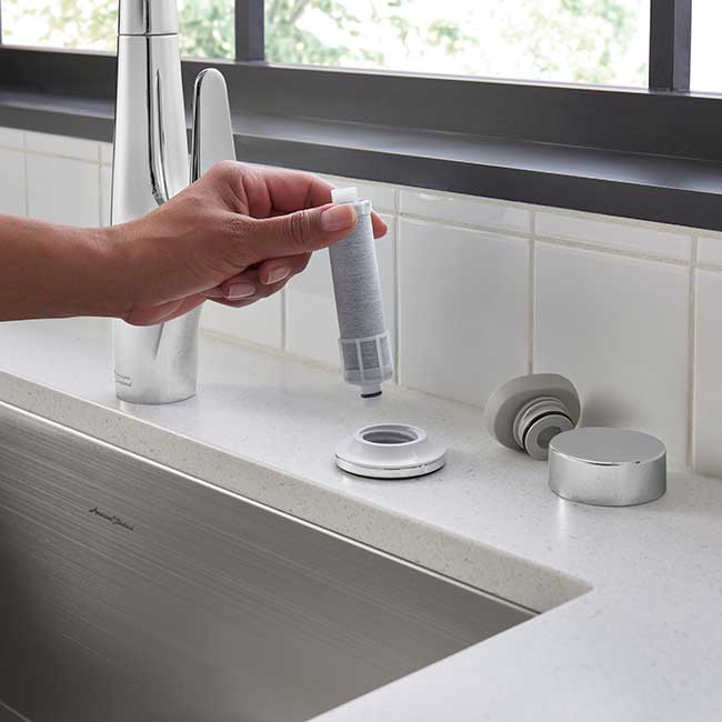 Saybrook Filtered Kitchen Faucet + Spectra Filtered Shower System