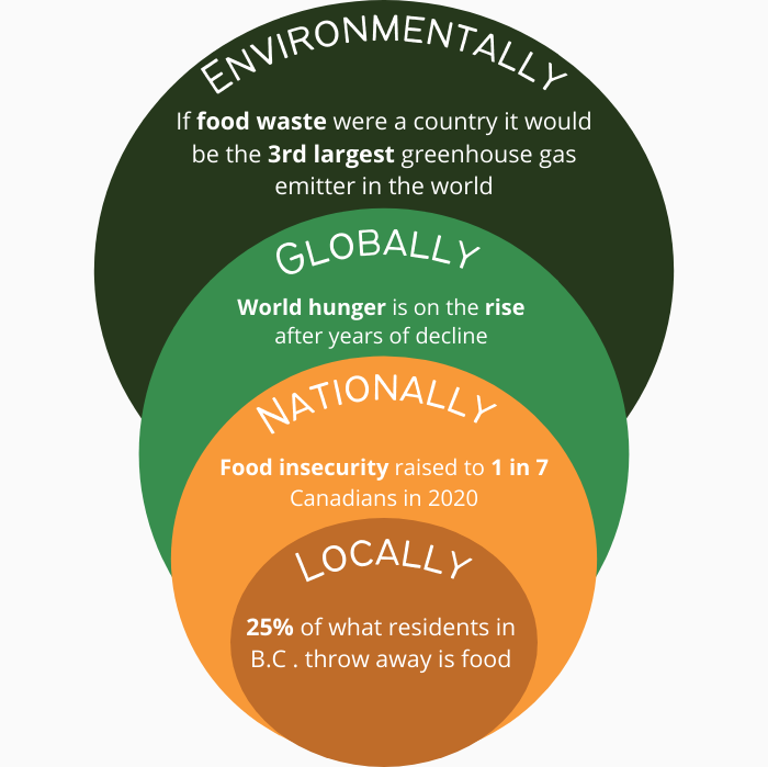food stash mission statement in coloured bubble chart